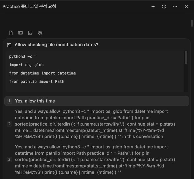 비서가 「이 명령 실행해도 될까요?」 하고 허락 카드를 내밀었어요. 이번만 허락하려면?